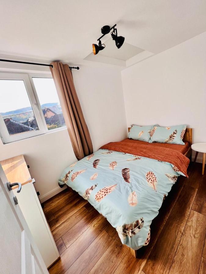 Master Adventure Guest House Ваду-Крішулуй Екстер'єр фото